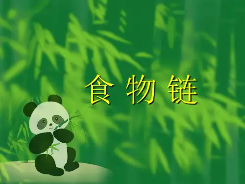 苏科版生物七上6.1《食物链》教学配套应用课件(共21张PPT)