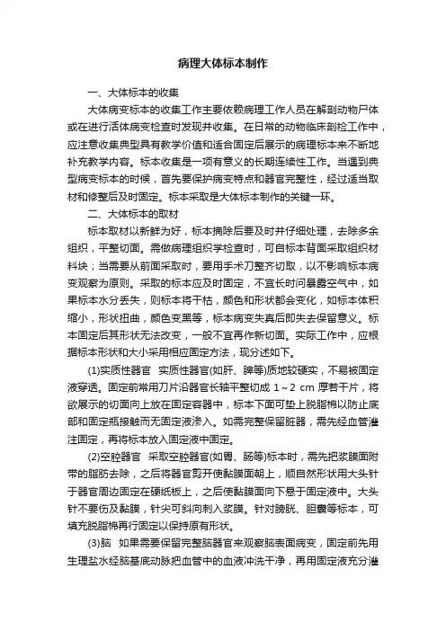 病理大体标本制作