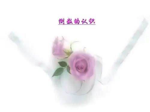 《倒数的认识》分数除法PPT课件5 (共23张PPT)