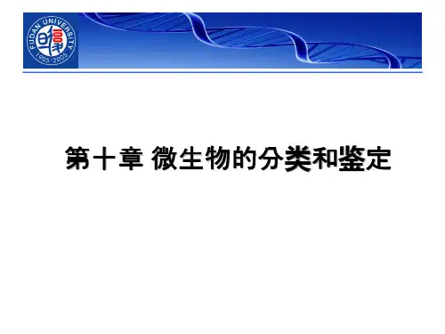 11+微生物分类