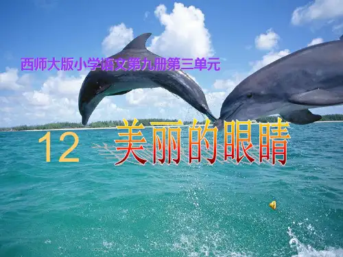 《美丽的眼睛》PPT课件