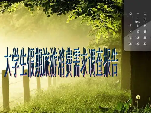 大学生假期旅游消费需求报告ppt