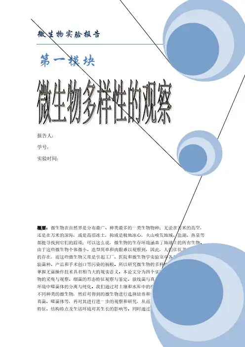 Removed_微生物实验报告