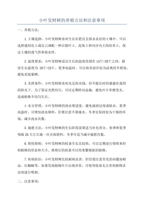小叶发财树的养殖方法和注意事项