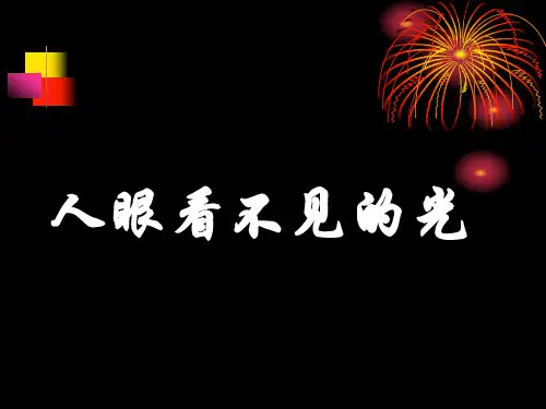 苏教版物理八年级上册10.27人眼看不见的光