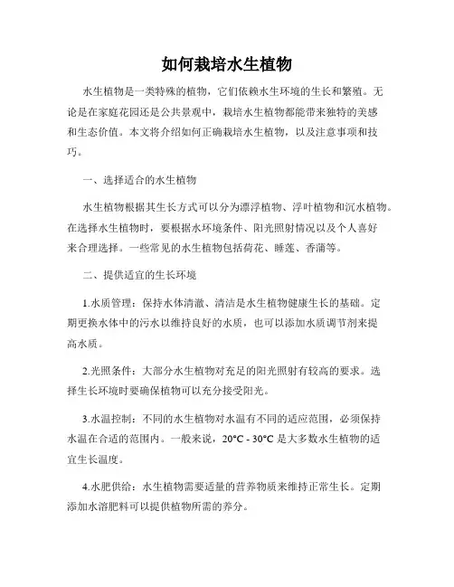 如何栽培水生植物