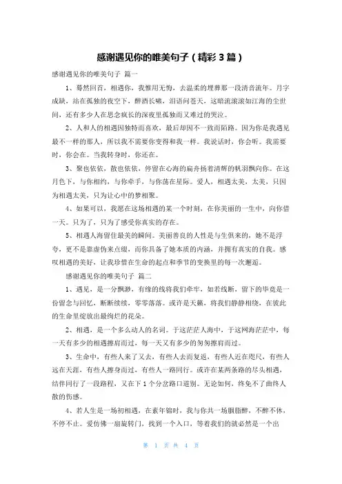 感谢遇见你的唯美句子(精彩3篇)