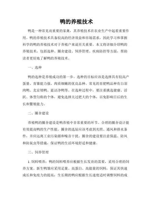鸭的养殖技术