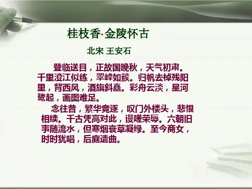 人民历史选修1专题四2.王安石变法(共24张PPT)