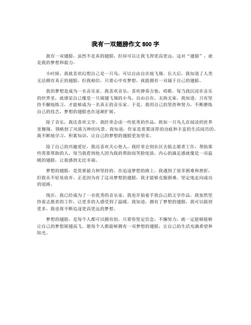 我有一双翅膀作文800字