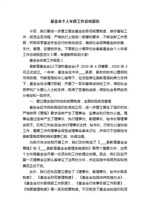 基金会个人年度工作总结报告