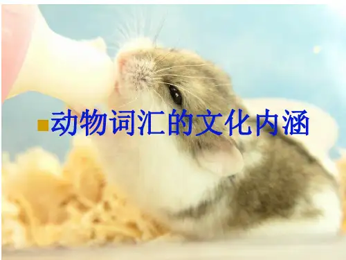 动物词汇的文化内涵