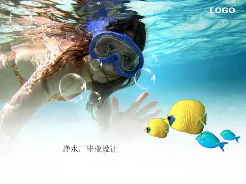 净水厂毕业设计