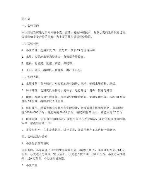 田间种小麦实验报告(3篇)