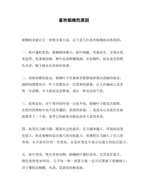 喜欢银柳的原因