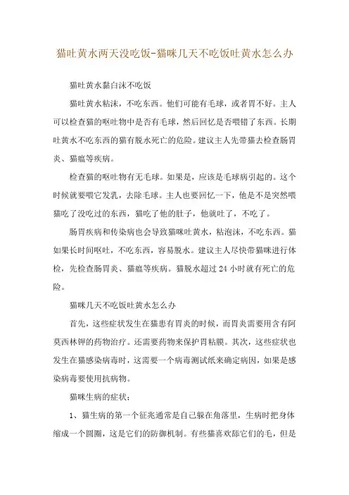 猫吐黄水两天没吃饭-猫咪几天不吃饭吐黄水怎么办