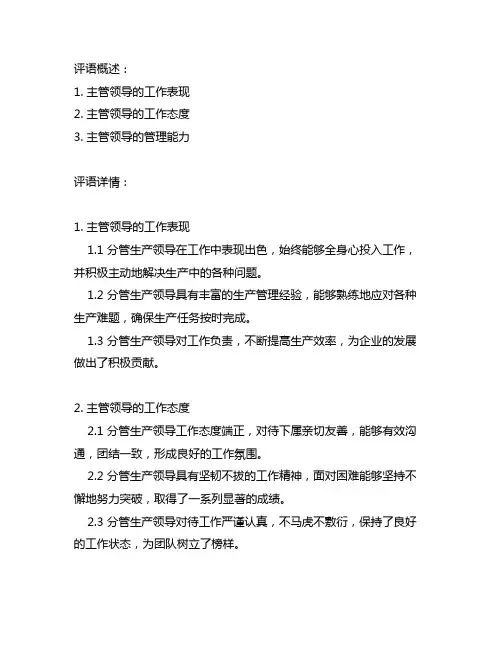 主要领导对分管生产领导考核评语