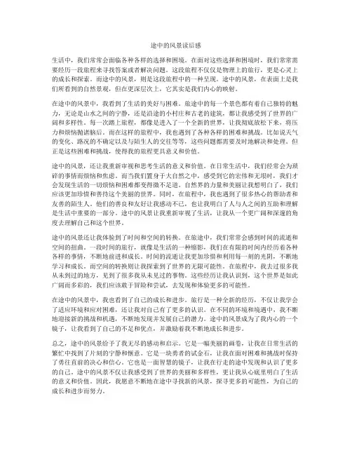 途中的风景读后感