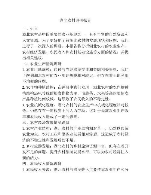 湖北农村调研报告