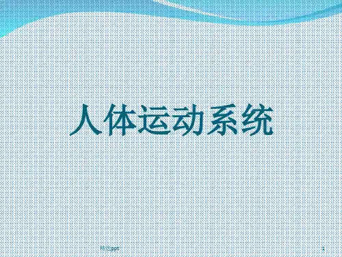 人体运动系统