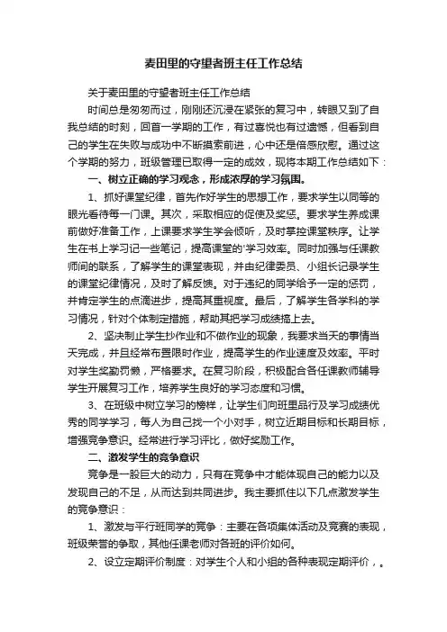 关于麦田里的守望者班主任工作总结