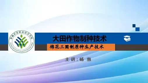 棉花三圃制原种生产技术最新实用版