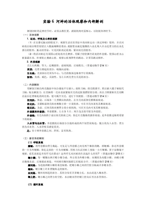 实验6河蚌的活体观察和内部解剖