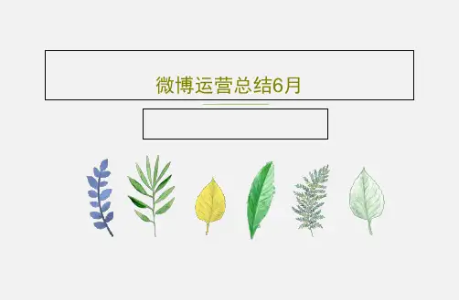 微博运营总结6月32页PPT
