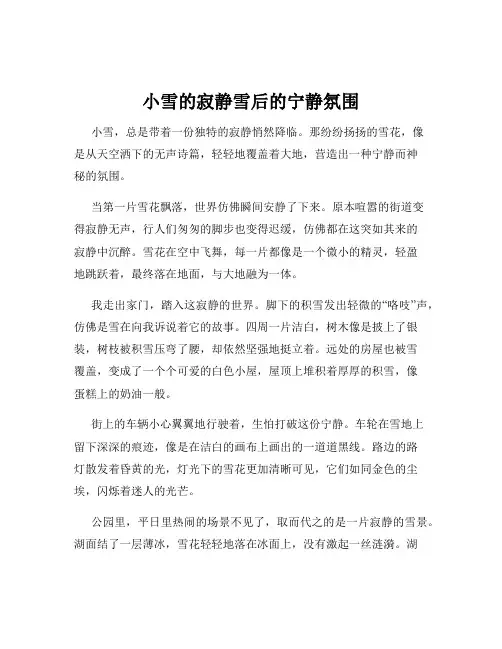 小雪的寂静雪后的宁静氛围