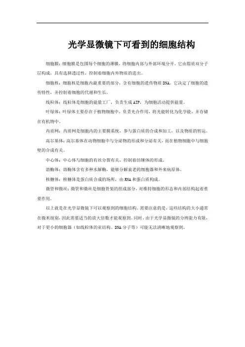 光学显微镜下可看到的细胞结构