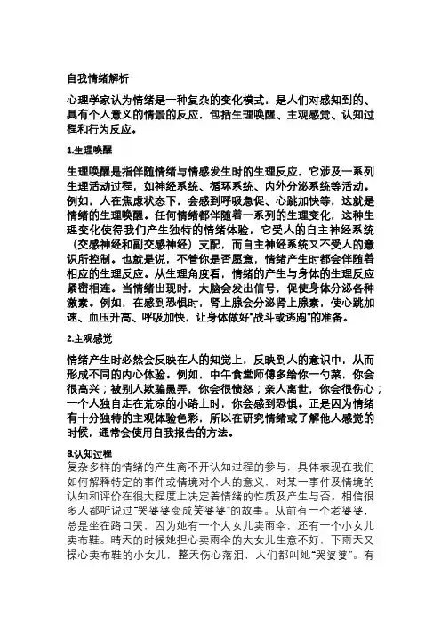 自我情绪分析