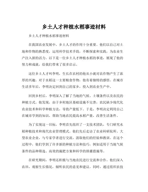 乡土人才种植水稻事迹材料