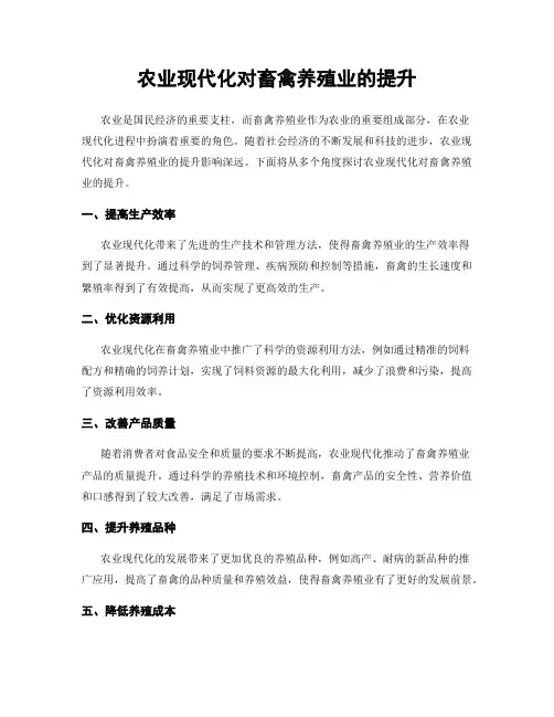 农业现代化对畜禽养殖业的提升