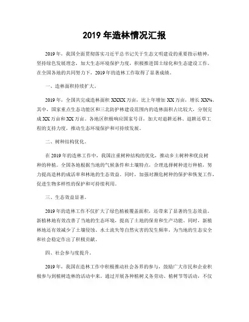 2019年造林情况汇报