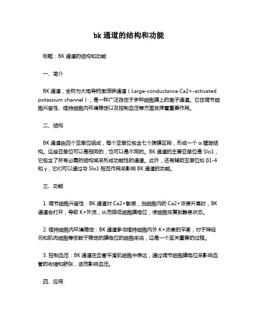 bk通道的结构和功能