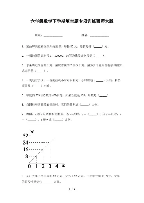六年级数学下学期填空题专项训练西师大版