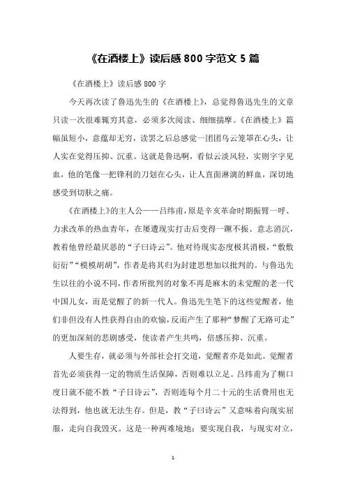 《在酒楼上》读后感800字范文5篇
