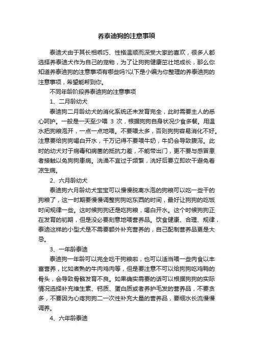 养泰迪狗的注意事项