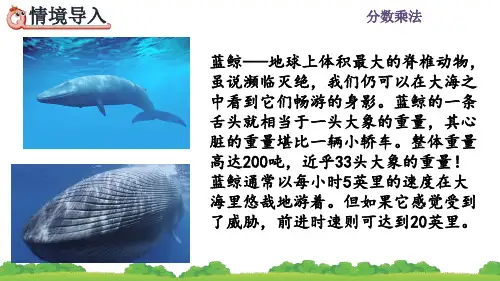 人教版六年级数学上册《分数乘法的简便算法》课件PPT(最新)