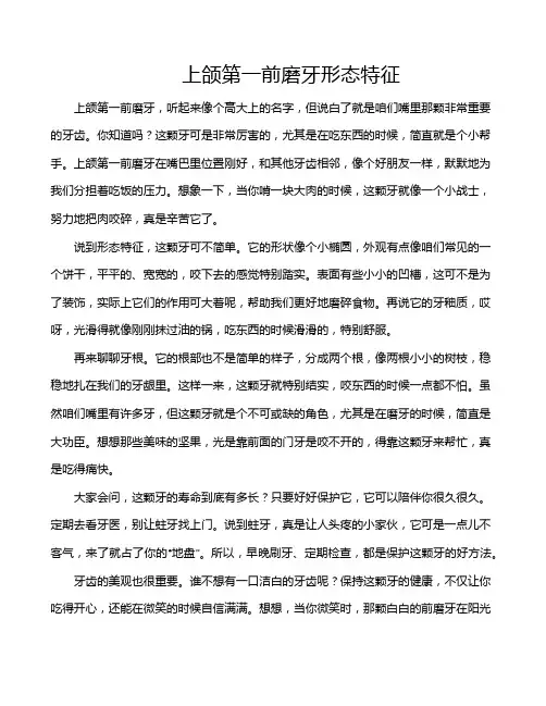 上颌第一前磨牙形态特征
