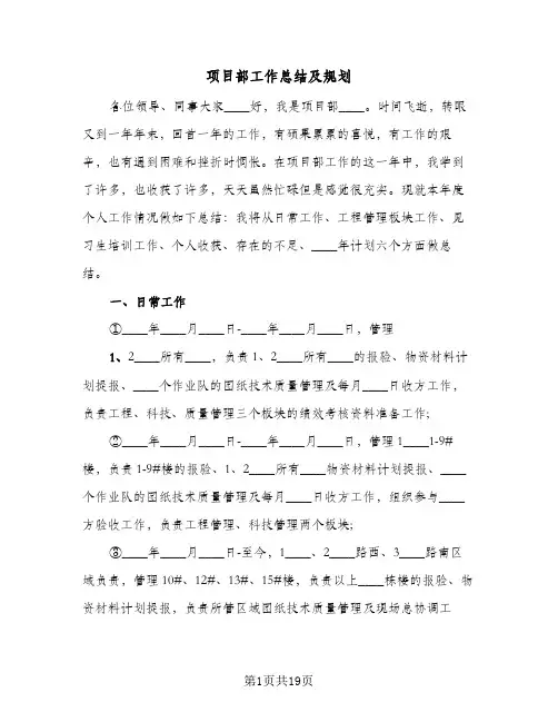 项目部工作总结及规划(5篇)