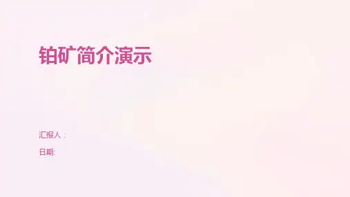铂矿简介演示