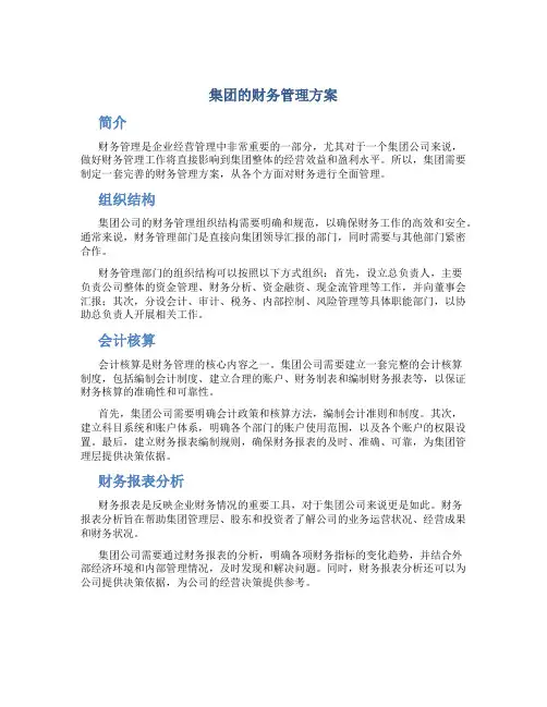 集团的财务管理方案