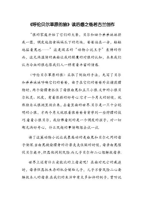 草原的狼读后感