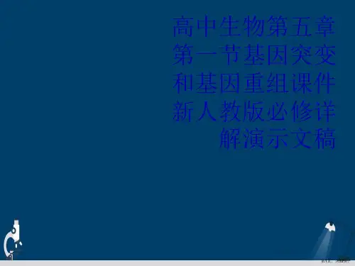 高中生物第五章第一节基因突变和基因重组课件新人教版必修详解演示文稿