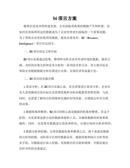 bi项目方案