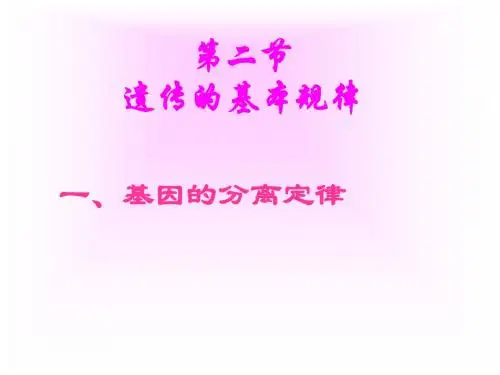 基因的分离定律