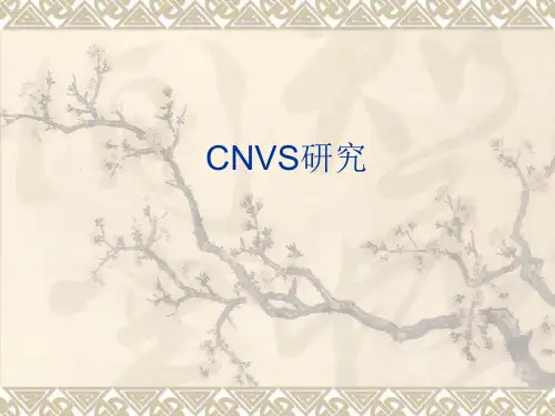 cnvs基本概念及研究