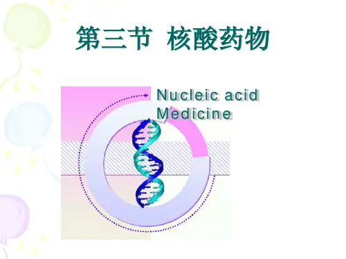 13 4核酸类药物