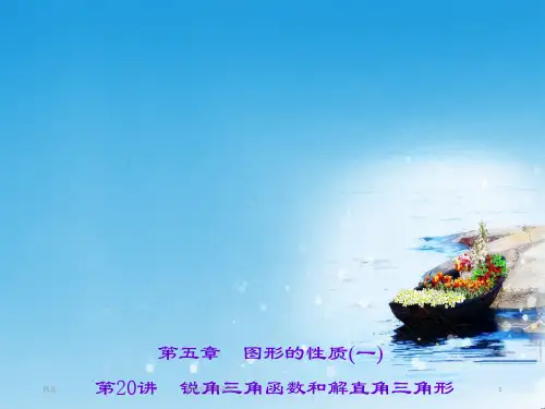 聚焦中考数学(辽宁省)习题课件：第五章 第20讲 锐角三角函数和解直角三角形精品